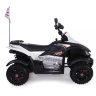 Детский спортивный электроквадроцикл Dongma ATV White 12V - DMD-268A-W