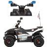 Детский спортивный электроквадроцикл Dongma ATV White 12V - DMD-268A-W