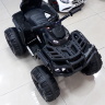 Детский квадроцикл Grizzly ATV Black 12V с пультом управления 2.4G- BDM0906