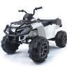 Детский квадроцикл Grizzly Next White 4WD с пультом управления 2.4G - BDM0909