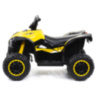 Детский квадроцикл HL Renegade X 2WD EVA 12V - HL578-YELLOW