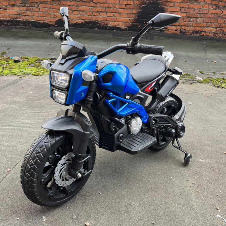 Детский электромотоцикл Harley Davidson (12V, EVA, ручка газа) - DLS01-SP-BLUE